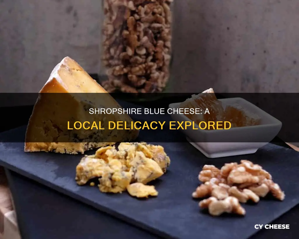 where is shropshire blue cheese made