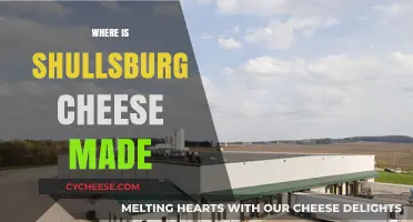 Unveiling the Secrets: Shullsburg's Cheesy Delights