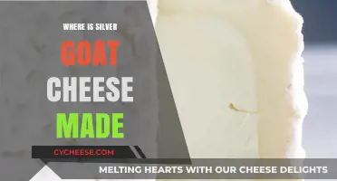 Silver Goat Cheese: Unveiling the Origin of This Unique Delicacy