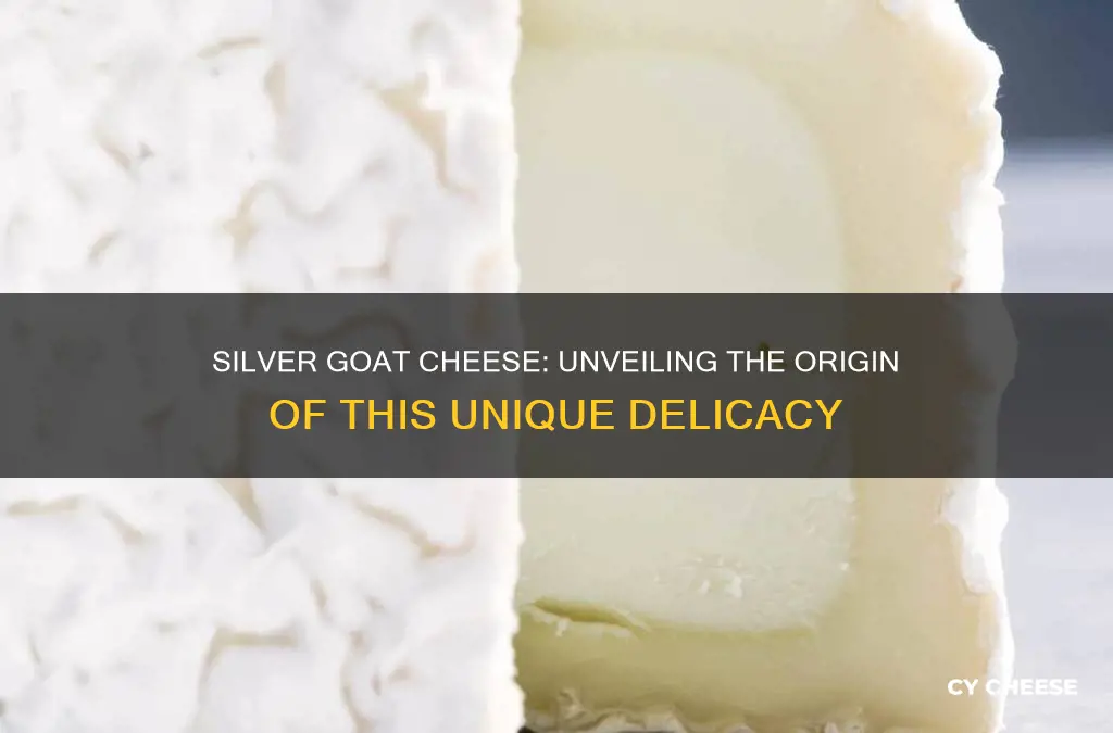 where is silver goat cheese made