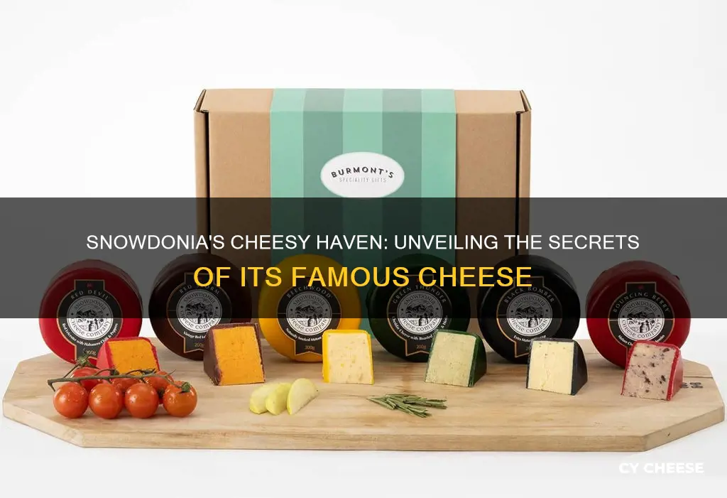 where is snowdonia cheese made