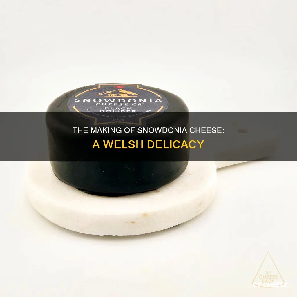 where is snowdonia cheese made