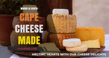 South Cape Cheese: Unveiling the Origin of a Delicious Treat