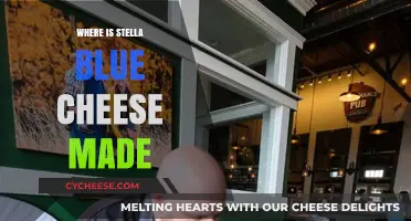 Unveiling the Origin: Where Stella Blue Cheese Reigns Supreme