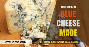 The Origins of Stilton: Unveiling the Blue Cheese's Home