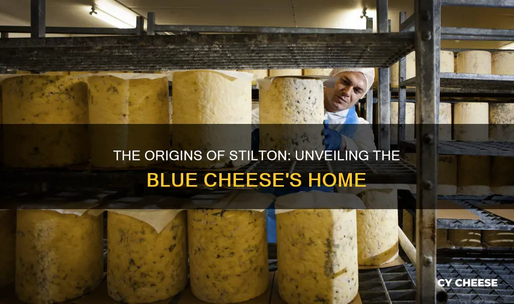 where is stilton blue cheese made