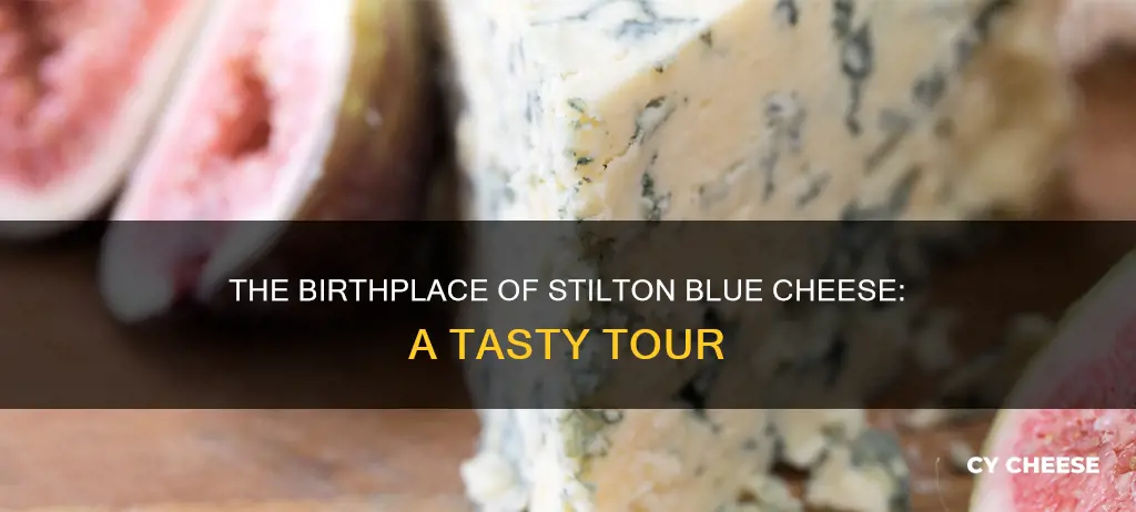 where is stilton blue cheese made