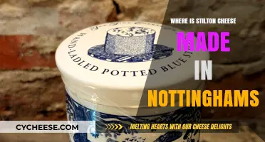 Unveiling the Secrets: Stilton's Nottinghamshire Heritage