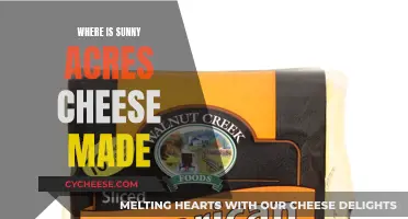 The Making of Sunny Acres Cheese: A Behind-the-Scenes Look