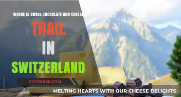 Swiss Chocolate and Cheese Trail: A Tasty Adventure