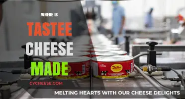 Tastee Cheese: Unveiling the Secret Location of its Origin