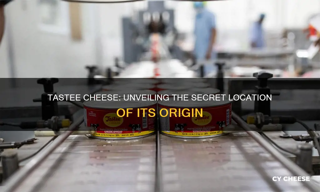 where is tastee cheese made