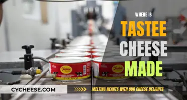 Tastee Cheese: A Journey to Its Origins