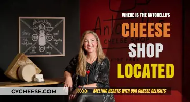 Discovering Antonelli's Cheese Shop: Location and How to Get There