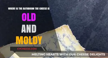 Moldy Cheese Woes: Navigating Bathrooms and Unpleasant Surprises