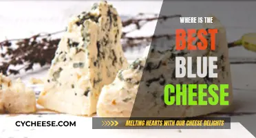 The Ultimate Quest for Blue Cheese Perfection