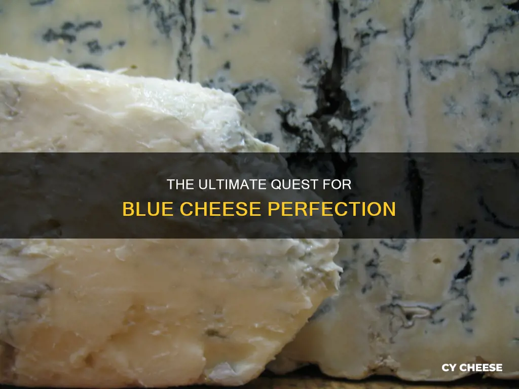 where is the best blue cheese