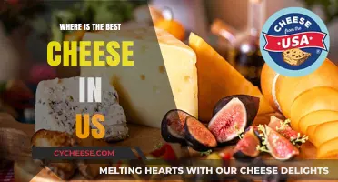 US Cheese: Best Places to Find Heaven