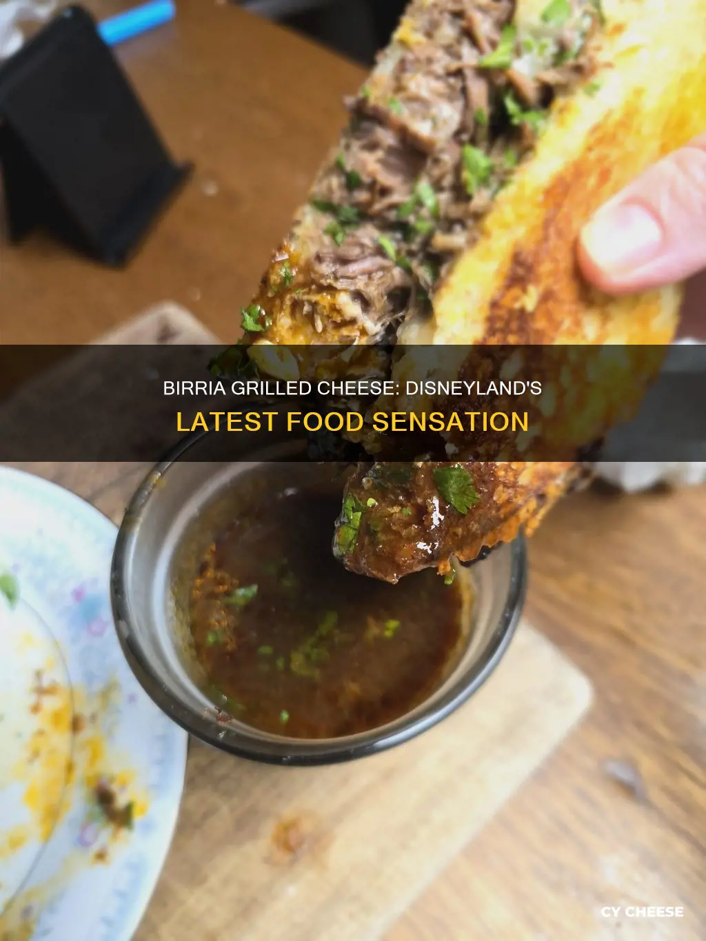 where is the birria grilled cheese at disneyland