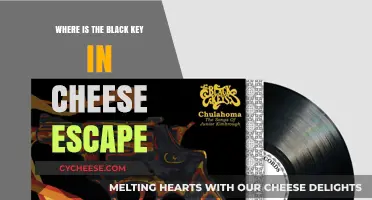 Finding the Black Key in Cheese Escape: A Complete Guide