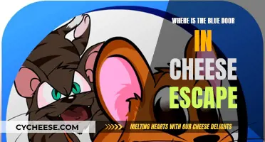 The Elusive Blue Door: Unlocking Cheese Escape's Mystery