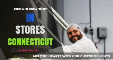 Discover Connecticut's Cheese Factory Locations in Stores Near You