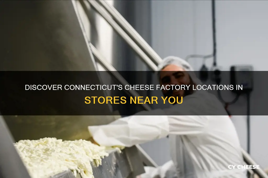 where is the cheese factory in stores connecticut