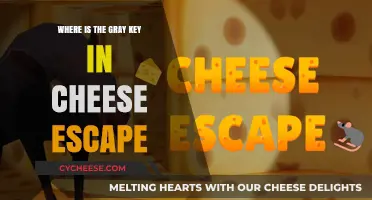 Finding the Gray Key in Cheese Escape: A Comprehensive Guide