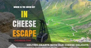 Finding the Green Key in Cheese Escape: A Step-by-Step Guide