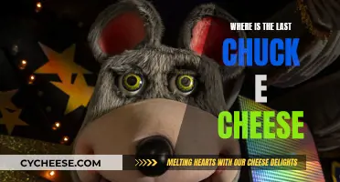 The Final Chuck E. Cheese: A Lasting Legacy