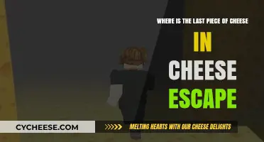 Finding the Final Cheese: A Guide to Cheese Escape's Last Piece
