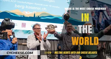 Global Cheese Production: Top Countries Leading the Dairy Industry