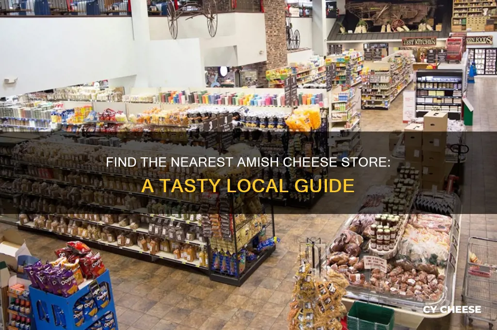 where is the nearest amish cheese store to me