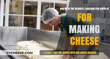Find Your Nearest Cheese-Making Supply Store: A Quick Guide