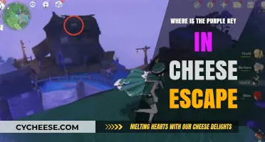 Cheese Escape: Unlocking the Mystery of the Purple Key's Location