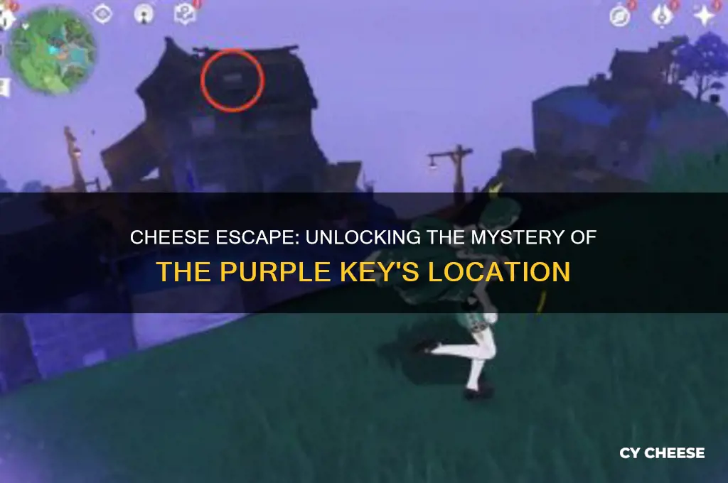 where is the purple key in cheese escape