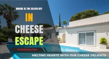 Finding the Silver Key in Cheese Escape: A Step-by-Step Guide