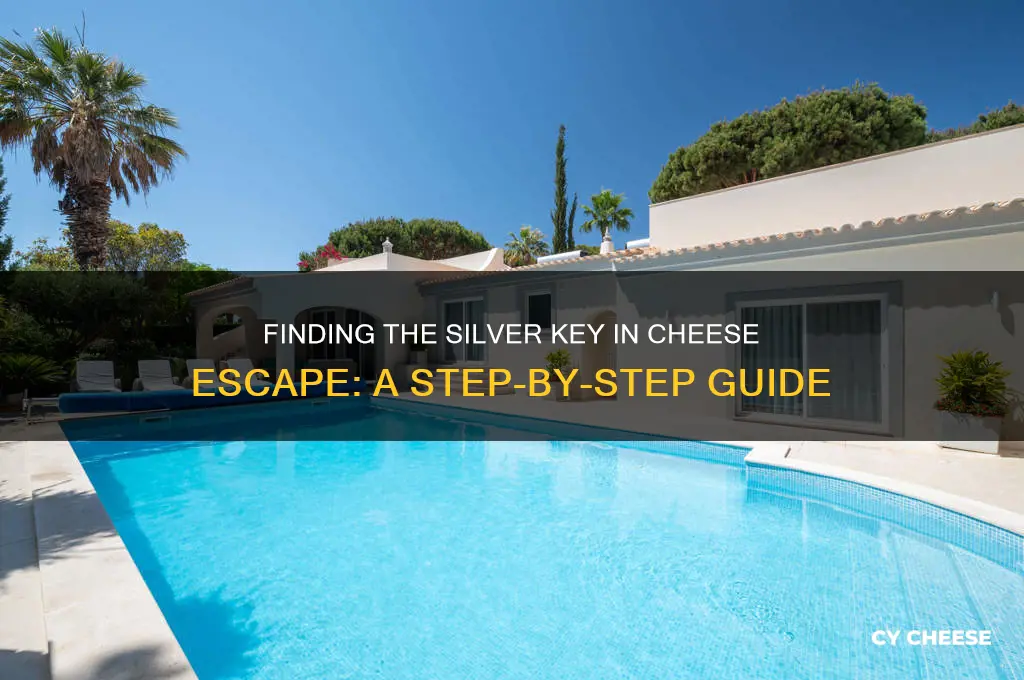 where is the silver key in cheese escape