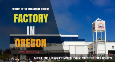 Discover Tillamook Cheese Factory's Location in Oregon: A Tasty Adventure
