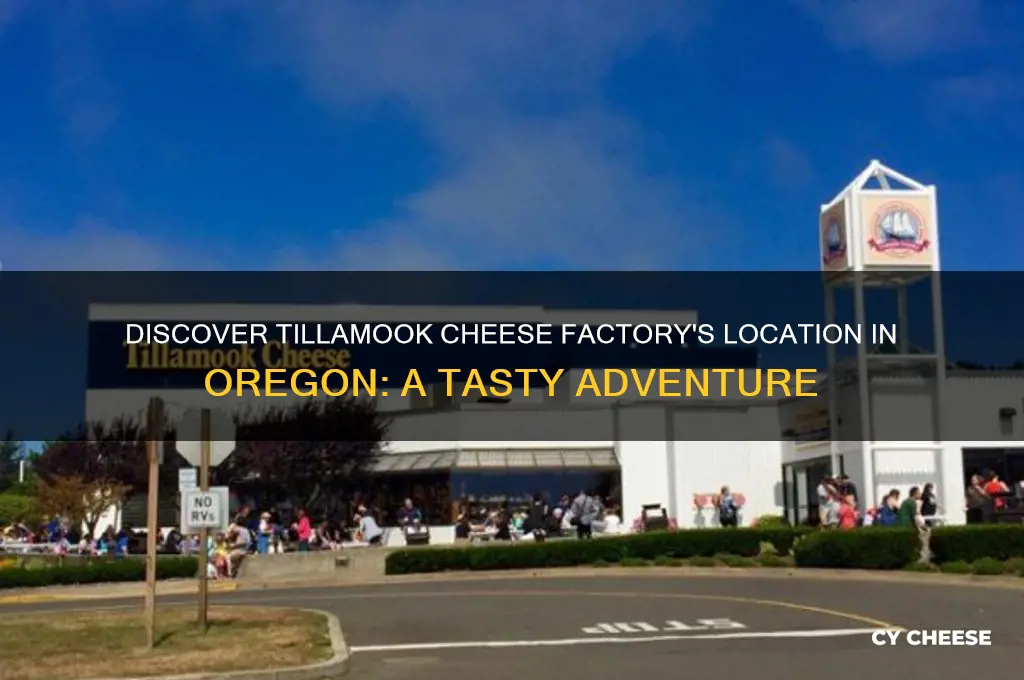 where is the tillamook cheese factory in oregon