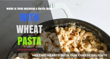 Where to Find Wheat Pasta Mac & Cheese: A Tasty Adventure