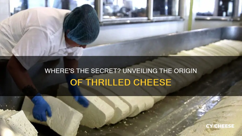 where is thrilled cheese made