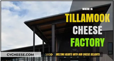 Discovering Tillamook Cheese Factory: Location, Tours, and Tasty Treats