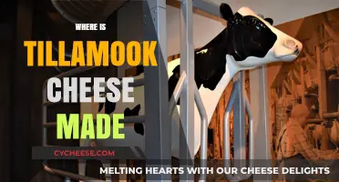 Tillamook Cheese: A Journey to the Oregon Coast