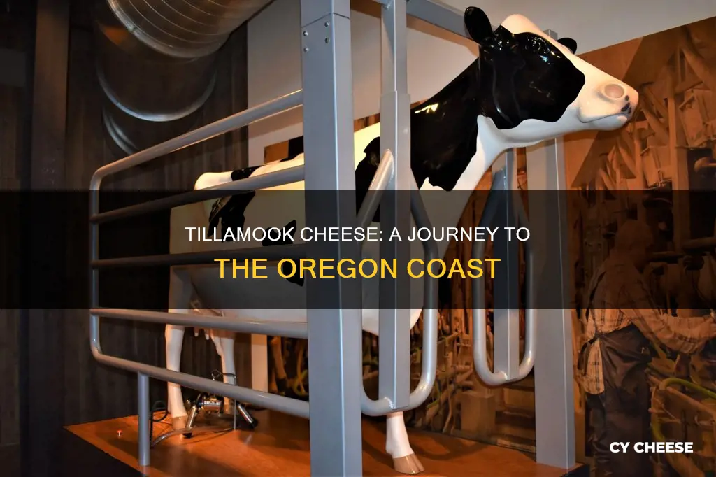 where is tillamook cheese made