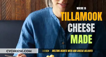 The Story of Tillamook Cheese: A True Northwest Original