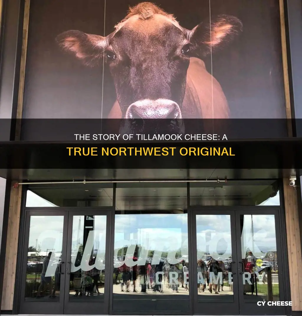 where is tillamook cheese made