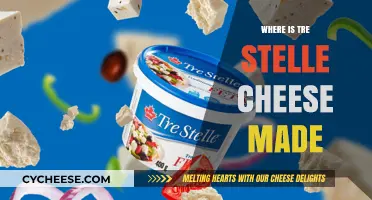 The Origin of Tre Stelle Cheese: A Journey to Italy