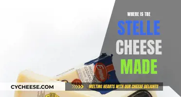 The Crafting of Tre Stelle Cheese: An Italian Legend