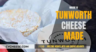 Tunworth Cheese: A Taste of Hampshire's Dairy Legacy